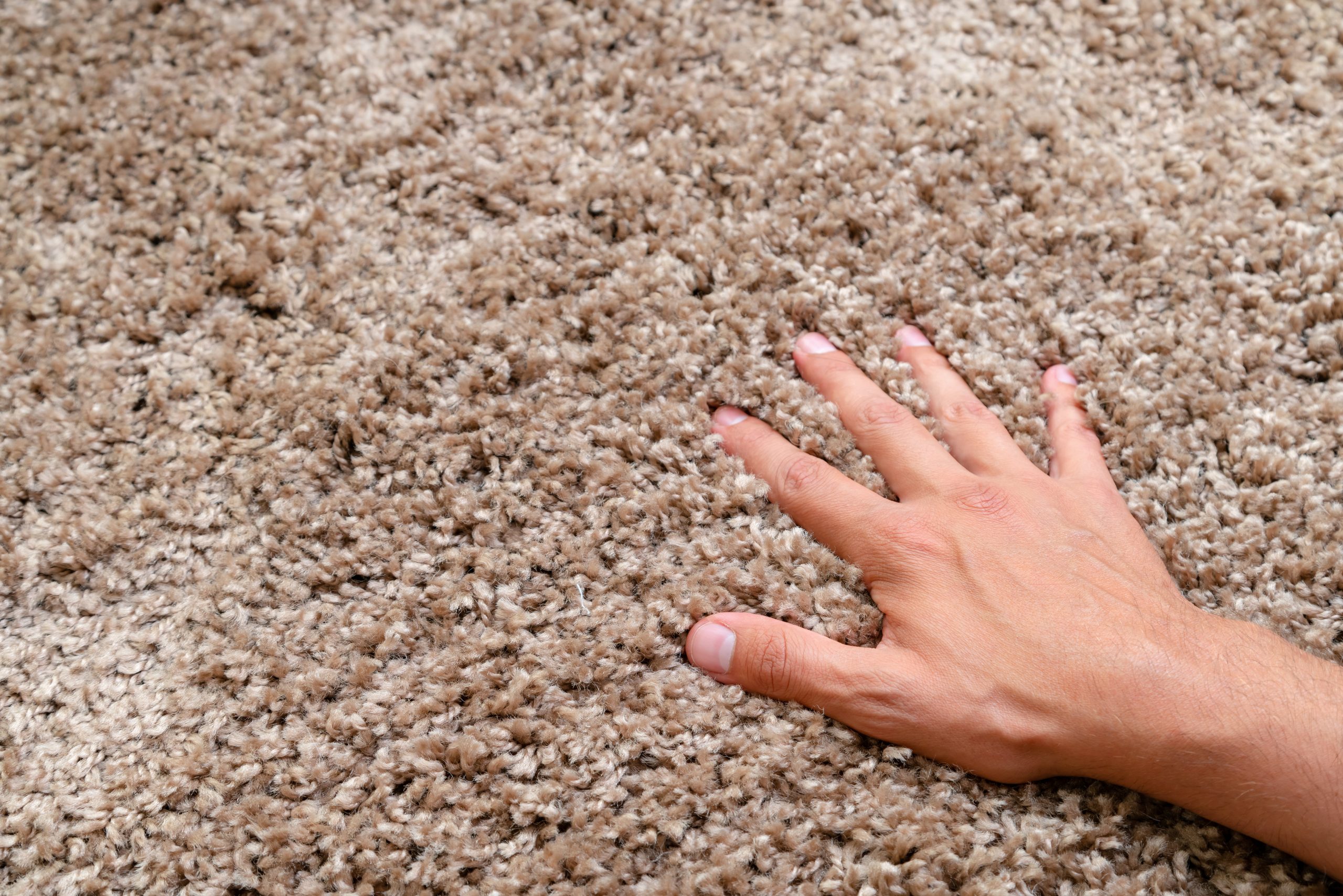 Close,Up,Of,Hand,Touching,Soft,Carpet.,Gentle,And,Fluffy